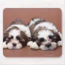 Search for full body mousepads Animal body part