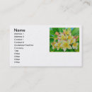 Recherche de hawaï mini cartes visite Floral