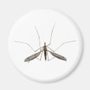 Recherche de moustique magnets Animal