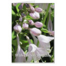 Search for group sympathy cards Flower