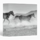 Search for gallop binders Country