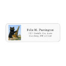 Recherche de tour de chat noir Amoureux des chats