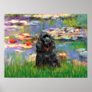 Search for black cocker spaniel Jean fitzgerald