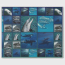 Recherche de orques papier cadeau Dauphins