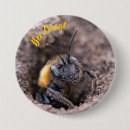 Recherche de abeilles badges Toute personne