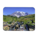 Search for usa magnets Scenic