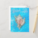 Recherche de coquilles de conque cartes postales Plage
