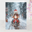 Search for maltese christmas cards Pet