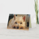 Search for westie birthday cards Cute