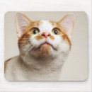Recherche de studio tapis souris Chat
