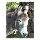 Recherche de ânes posters Mignon