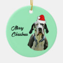 Search for harlequin great dane decor Xmas