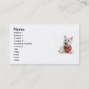 Recherche de chien westie cartes visite Blanc