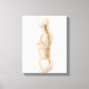 Search for midsection canvas prints Digitally generated image