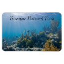 Recherche de marine nationale Océan
