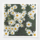 Recherche de white daisy Parti