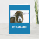 Search for cute animal thinking of you cards Humour