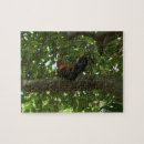 Recherche de kauai puzzles Hawaï