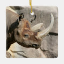 Search for rhino ornaments zoo