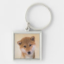 Recherche de japanese porteclés Shiba inu