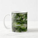 Search for hosta mugs Plant