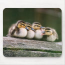 Search for open mouth mousepads Colour image