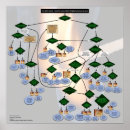 Recherche de grammar posters Humour