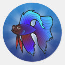 Search for fighting fish stickers Pet