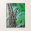 Recherche de lizard puzzles Exotique