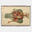 Search for pigeon blankets Nature