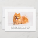 Search for vet cards Modern