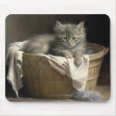 Recherche de chatons gris tapis souris Chaton mignon