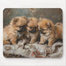 Search for pomeranian mousepads Puppies