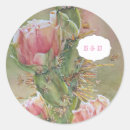 Recherche de cactus colorés autocollants Pour elle