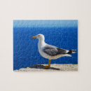 Recherche de mouette puzzles Oiseau