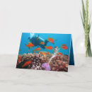Search for sea creatures cards Underwater