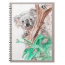 Search for koala notebooks School