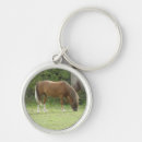 Search for chestnut keychains Animals