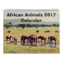 Search for monkey calendars Zebra
