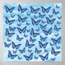 Recherche de papillon élégant posters Coloré