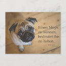 Search for mops postcards Hund