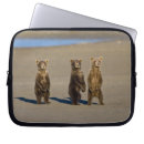 Search for ralph h bendjebar cases Wildlife