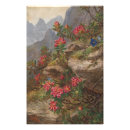 Search for alpine flower posters Red