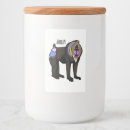 Search for mandrill Primate
