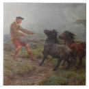 Search for ponies tiles Equestrian
