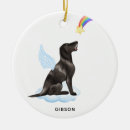 Search for pointer pet supplies Rainbow bridge