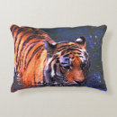 Search for tiger photography Black