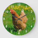 Recherche de farm animal horloges Chicken