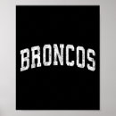 Search for bronco posters Vintage