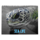 Search for sea life calendars Turtle